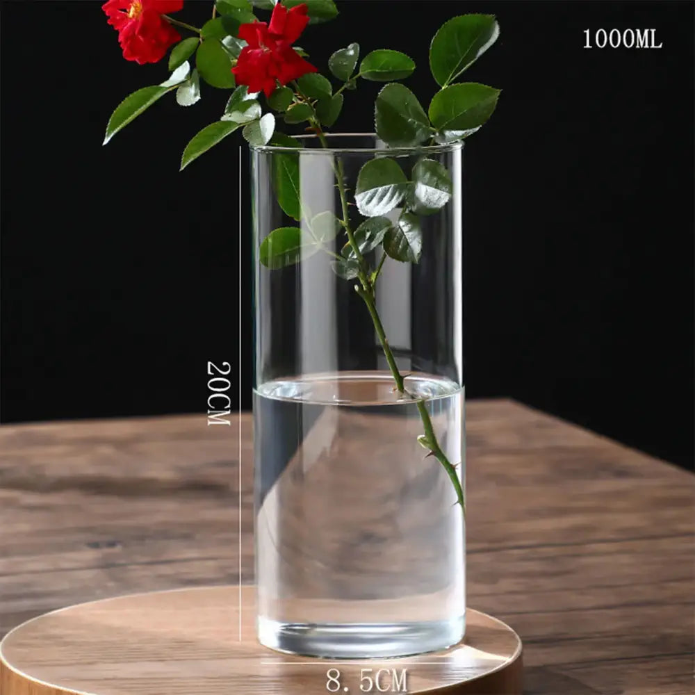 Decorbites™ modern glass hydroponic vase with 1000ml capacity and red roses for wedding decor