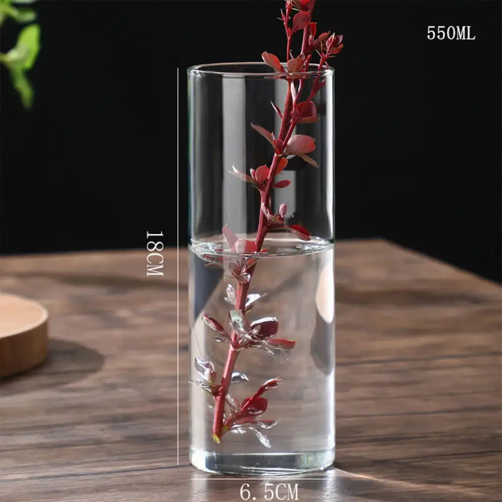 DecorBites™ modern clear glass hydroponic vase 550ml 18cm holding red-leafed plant stems in water for wedding decor