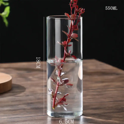 DecorBites™ modern clear glass hydroponic vase 550ml 18cm holding red-leafed plant stems in water for wedding decor