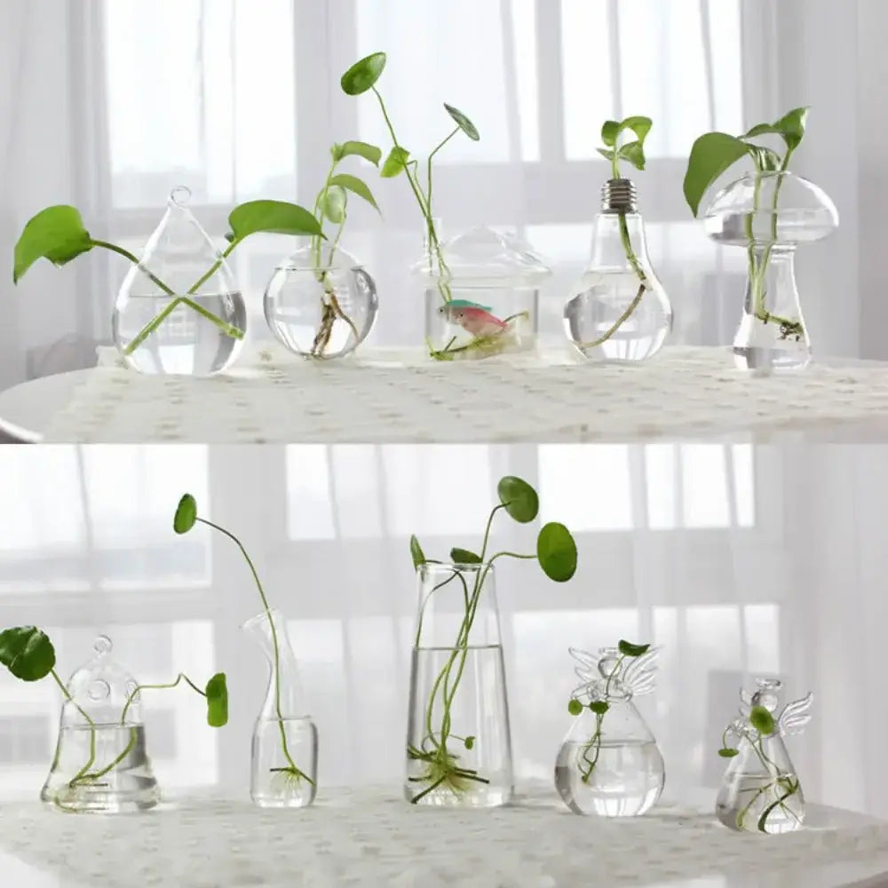 Decorbites™ modern clear glass vase terrarium set features various shapes including repurposed light bulb vases and angel figurines