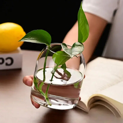 DecorBites™ modern hydroponic glass flower vase with a clear glass bottle holding a green heart-shaped plant for home and wedding
