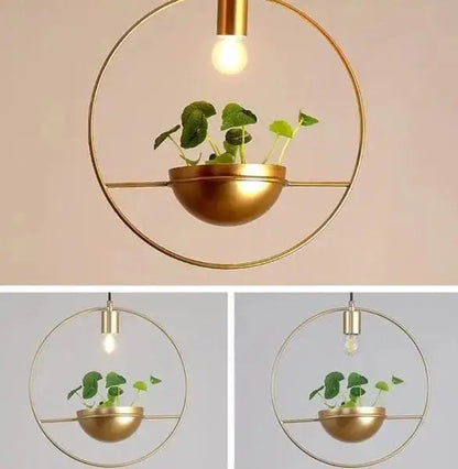 Gold-toned circular pendant light with integrated hanging planter featuring small green plants by DecorBites™ modern nordic planter lighting