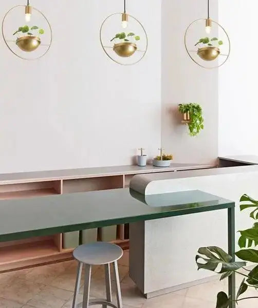 DecorBites™ modern nordic planter lighting with three gold-toned circular pendant lights and brass spherical planters