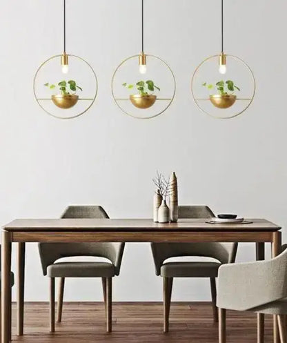 Three identical gold-toned metal circular pendant lights with integrated bowl-shaped planters featuring small green plants modern nordic planter lighting