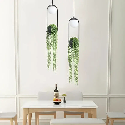 Decorbites™ modern planter pendant lighting featuring black metal pendant light with glass shades and hanging plants