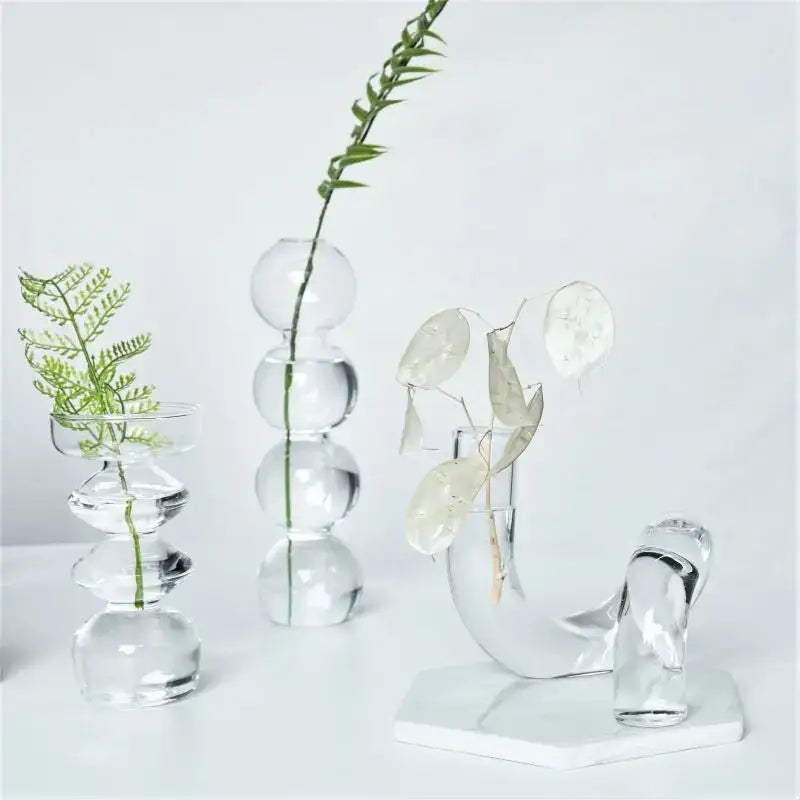 Decorbites™ modern transparent glass vases set with spherical and curved designs holding delicate greenery to decorate root