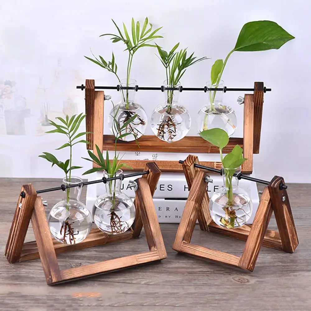 DecorBites modern wooden frame glass vase terrarium with clear spherical glass vases and green plants in wooden frame stand