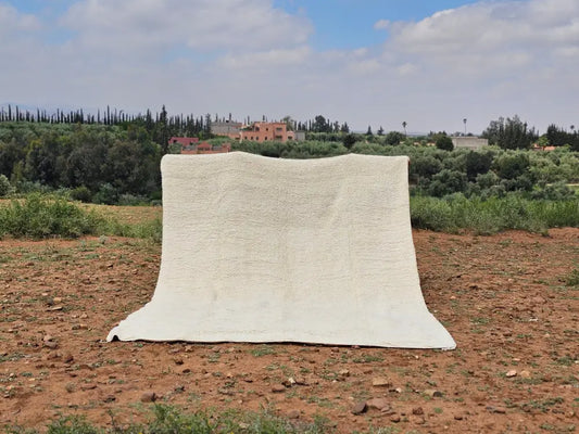 Off-white textured moroccan handmade beni ouarain rug with soft plush woolen surface and slightly frayed edges 464 x 360 cm