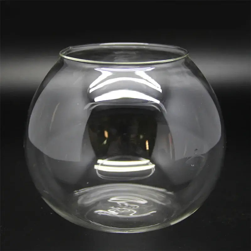 Clear glass ball glass vase with smooth rounded shape and thickened rim for desktop moss ball glass decor by DecorBites