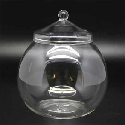 Clear glass ball glass vase with rounded bulbous body and lid for decorbitess moss ball glass desktop decor