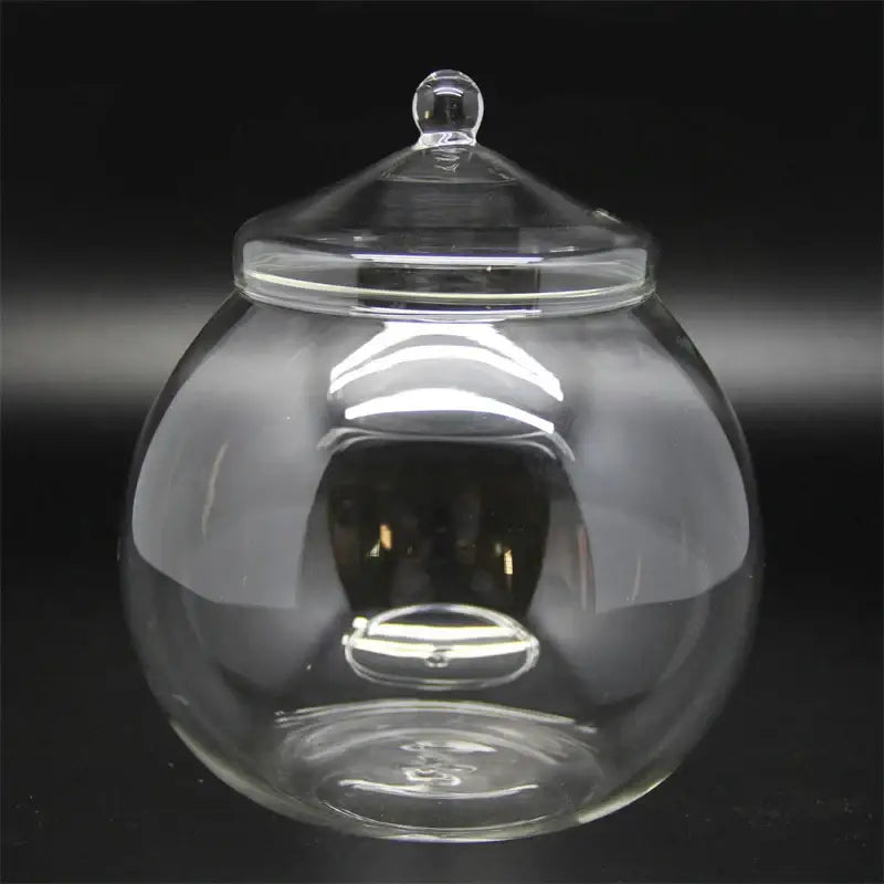 Clear glass ball glass vase with rounded bulbous body and lid for decorbitess moss ball glass desktop decor