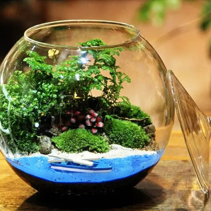 Decorbites™ moss ball glass vase featuring a clear glass spherical vase with green moss and red succulents for desktop decor