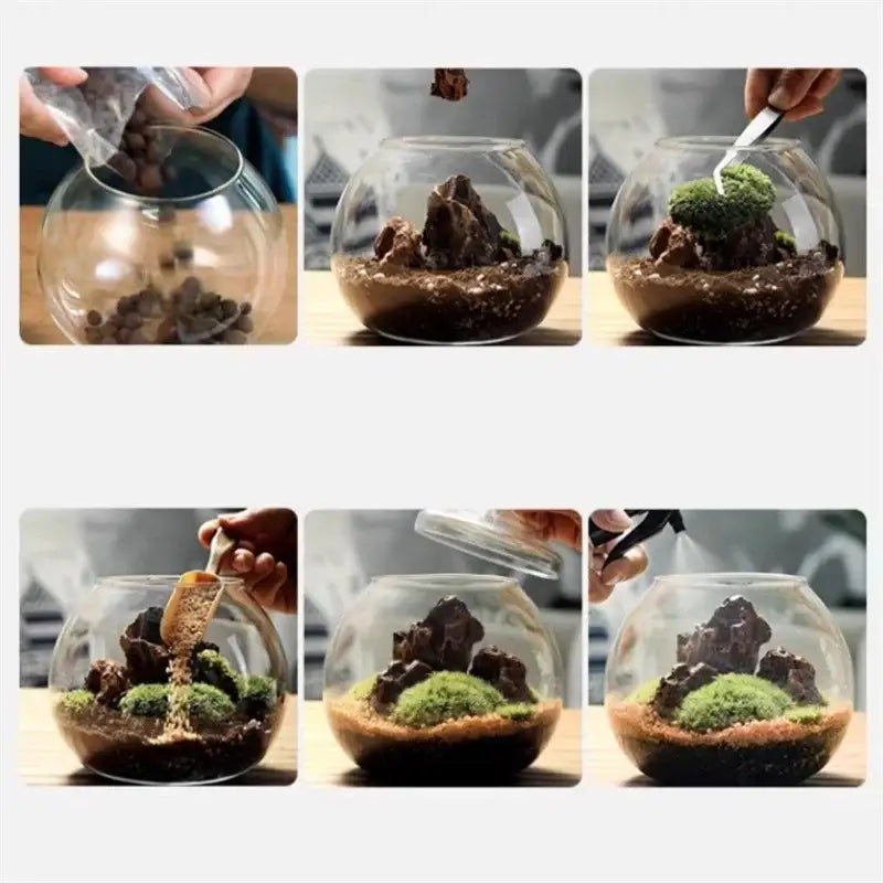 Clear glass ball glass vase with layered soil moss and rocks featuring moss ball glass for desktop decor by DecorBites