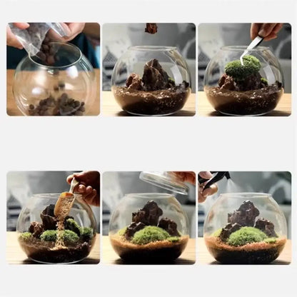 Clear glass ball glass vase with layered soil moss and rocks featuring moss ball glass for desktop decor by DecorBites