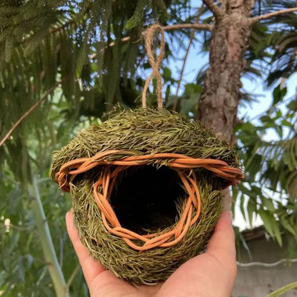 Handcrafted DecorBites natural grass bird cage made of woven green grass and orange twine with hanging loop style birds nest