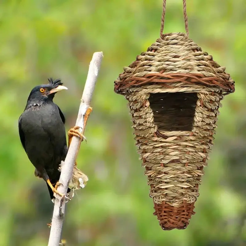 Handwoven decorbites natural grass bird cage with woven entrance and brown trim for parrot nest use