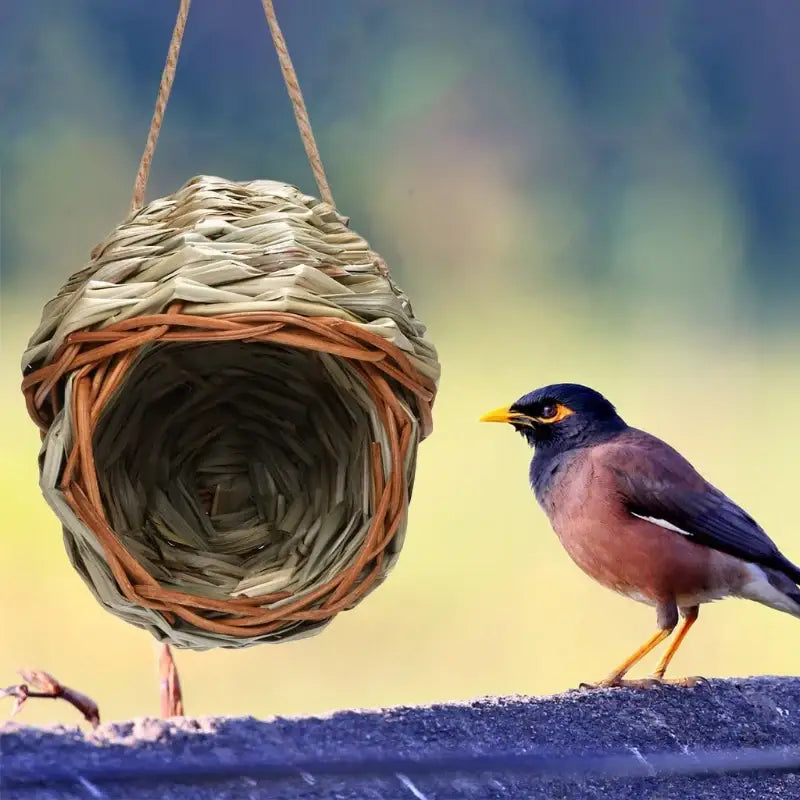 A woven beige and brown natural grass bird cage parrot nest made from dried plant material for hanging
