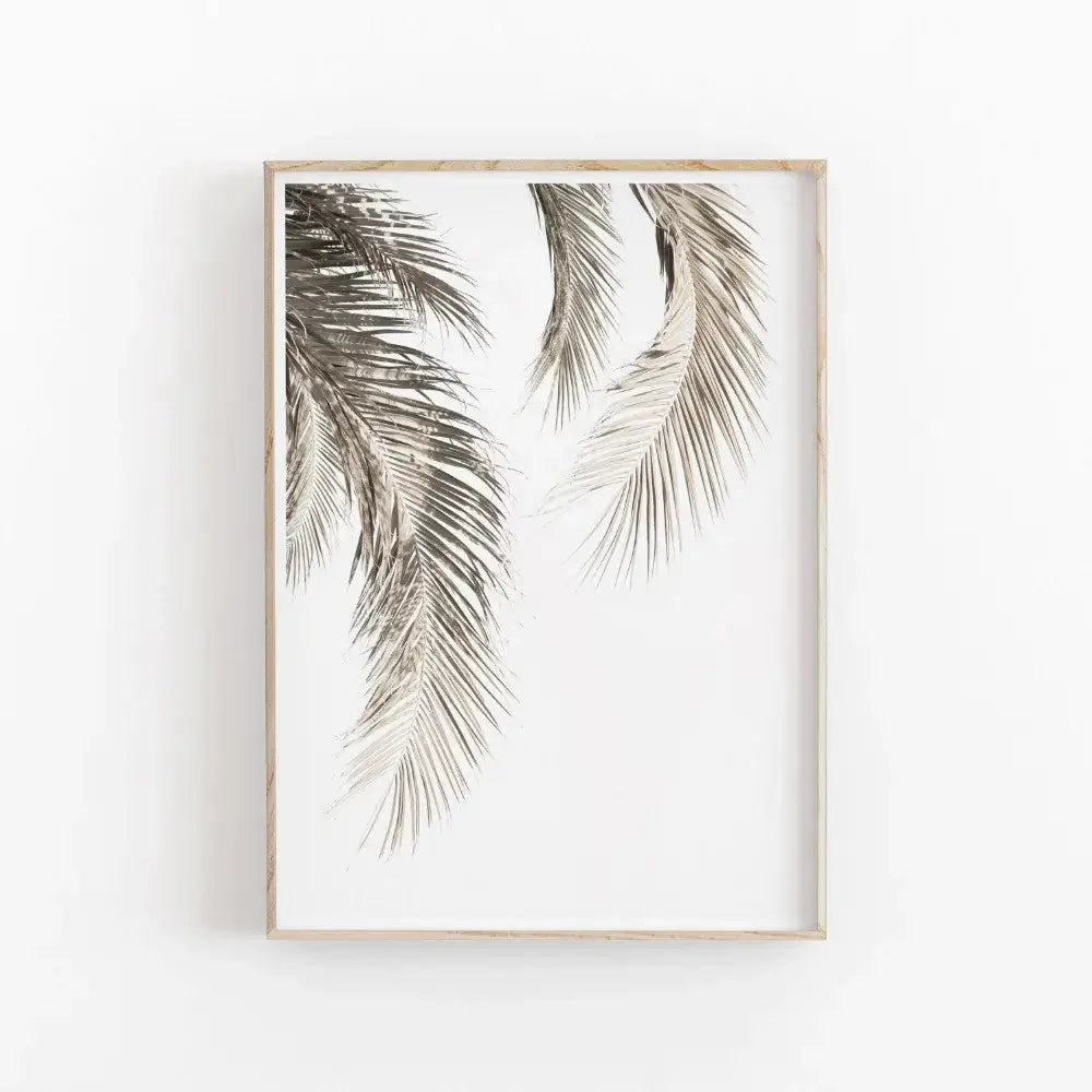 Minimalist decorbites nordic botanical poster canvas art featuring monochromatic eucalyptus palm fronds on white background