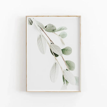 Minimalist nordic botanical poster canvas art featuring eucalyptus leaves in soft green tones framed in light wood