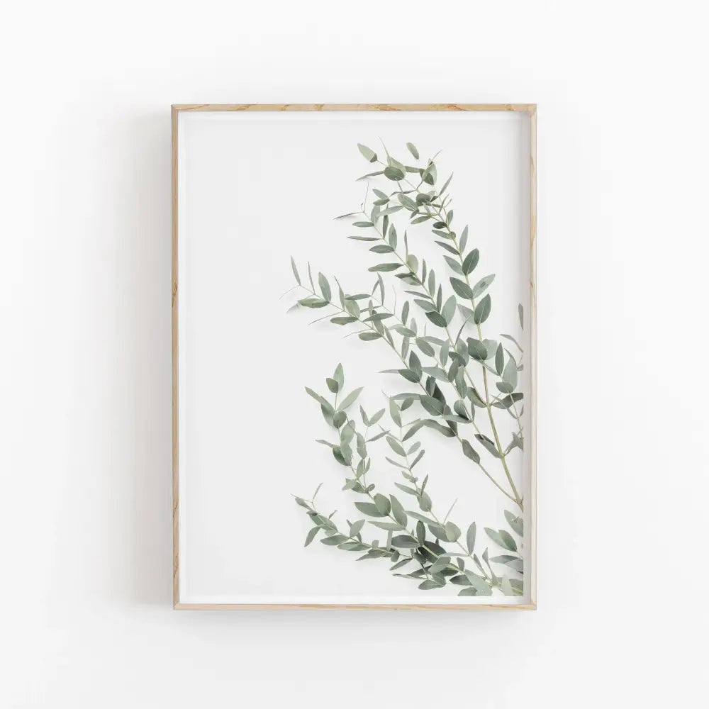 Minimalist nordic botanical poster canvas art with delicate eucalyptus branches in soft green tones and natural wood frame