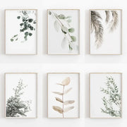 Set of six nordic botanical poster canvas prints featuring eucalyptus and palm leaves in soft greys and muted greens