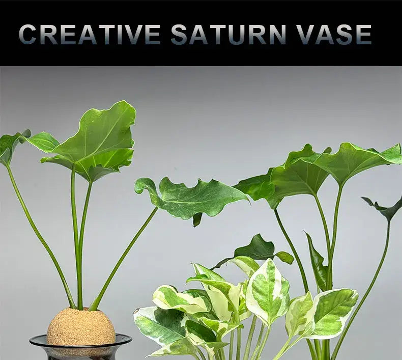 DecorBites™ nordic glass vase with a textured earthy base and sleek black rim ideal for elegant home decor