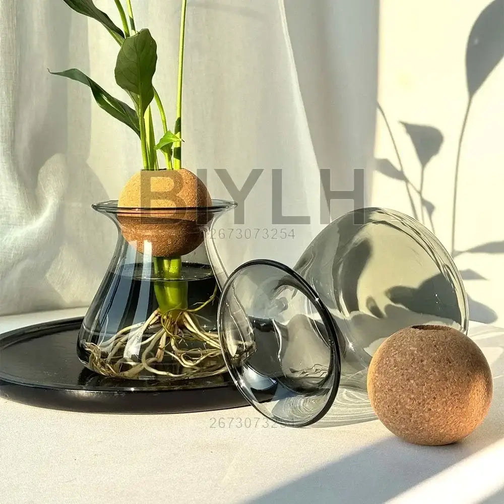 Clear glass nordic glass vase with cork ball insert holding green plant and matching glass decor for home decor