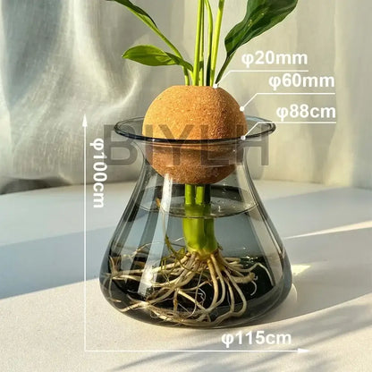 Decorbites™ nordic glass vase small transparent glass vase with cork insert and submerged roots for home decor