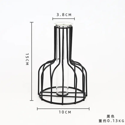 DecorBites™ nordic iron golden hydroponic vase with black metal wireframe and clear glass bottle insert holding dried flowers