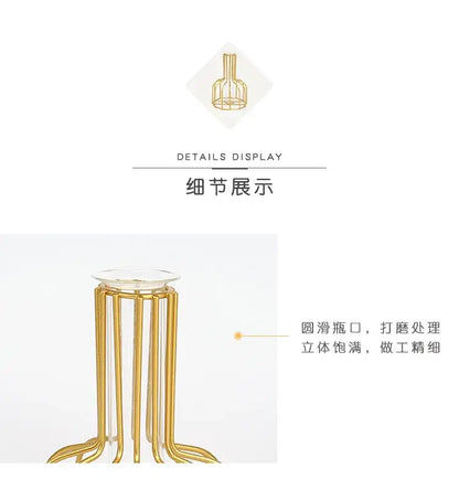 Decorbites™ nordic iron golden hydroponic vase with a gold metal bottle stand and clear glass base for dried flowers