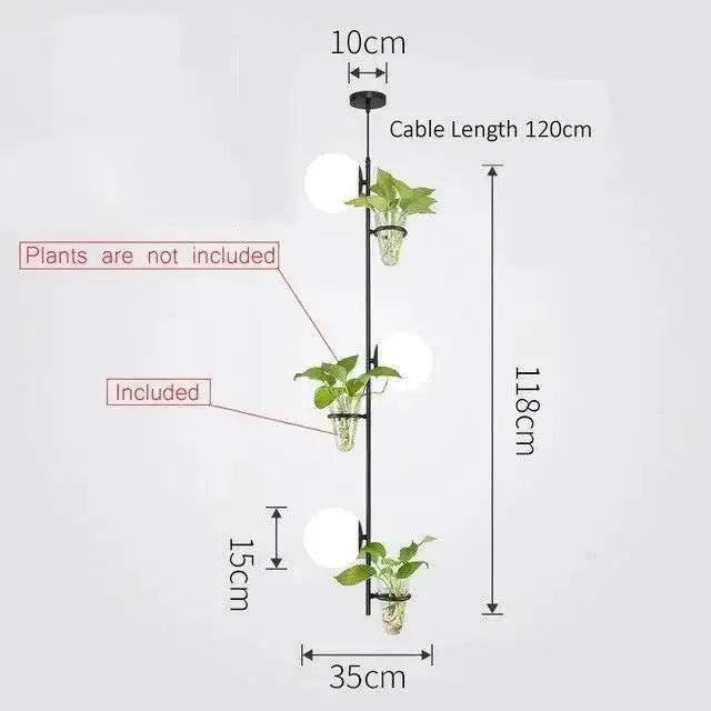Black vertical hanging planter light with three clear glass terrariums holding green leafy plants by DecorBites™