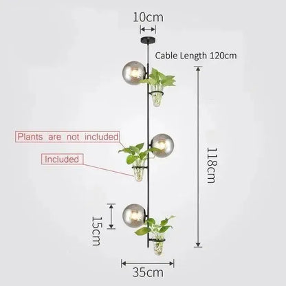 DecorBites™ modern black metal pendant planter light with three glass globes and clear glass planters holding green foliage