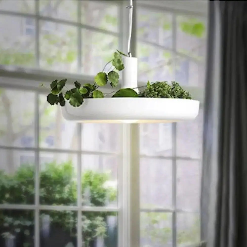 White circular DecorBites™ planter pendant lighting with integrated light and smooth matte finish in modern design