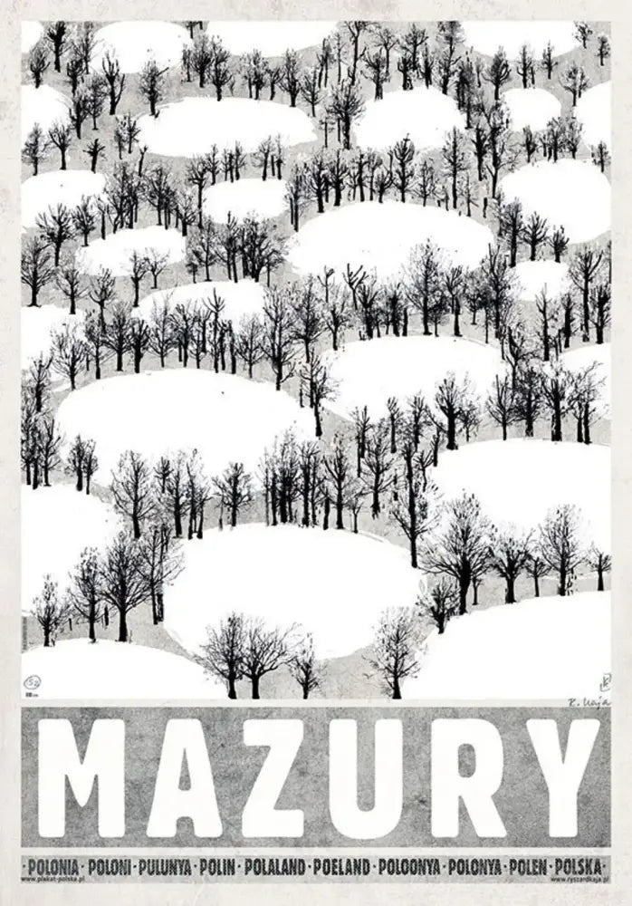 Black-and-white illustrated snow-covered hills and bare trees poland city posters canvas wall art by decorbites poland