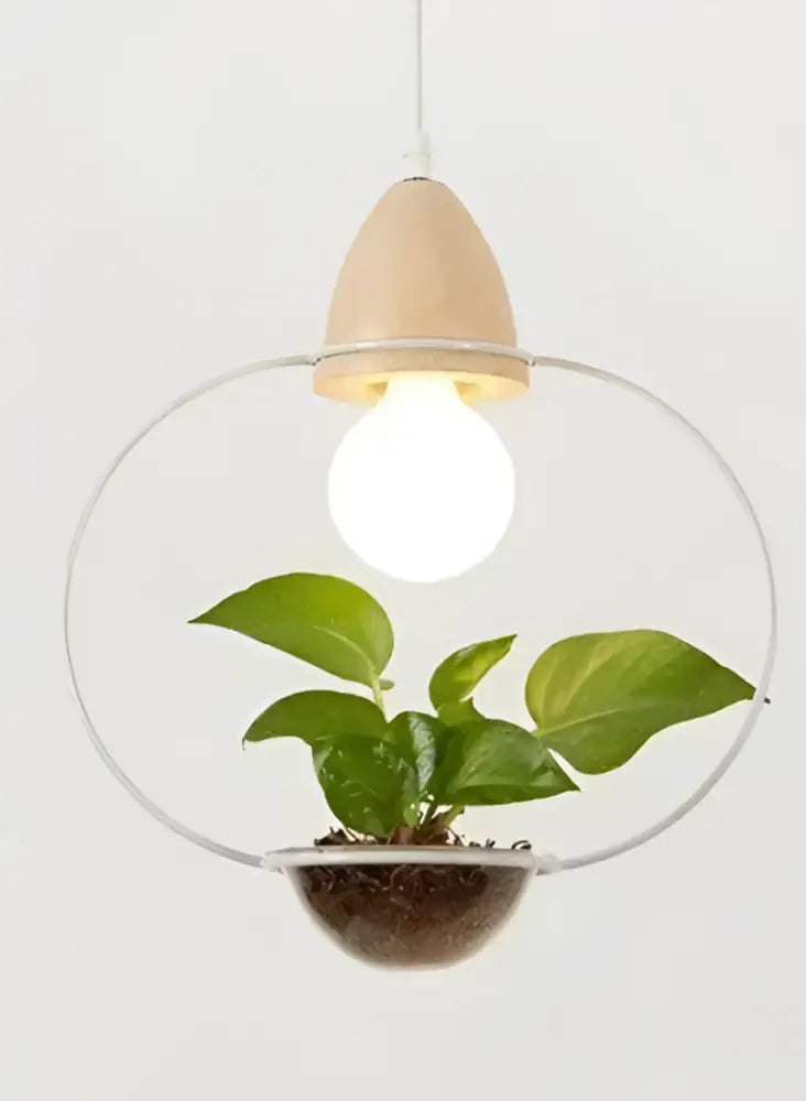 Decorbites™ pot pendant planter light with wooden top and clear glass housing a small green potted plant