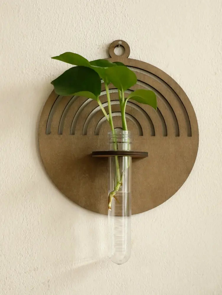 Decorbites™ rustic wood wall vase featuring a clear glass test tube and green leaves in a circular wood wall holder