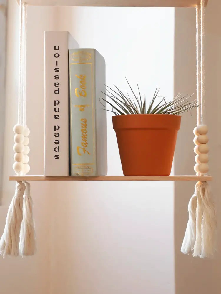 A terracotta pot with a spiky green air plant on a decorbites rustic wooden wall shelf with hanging plant storage