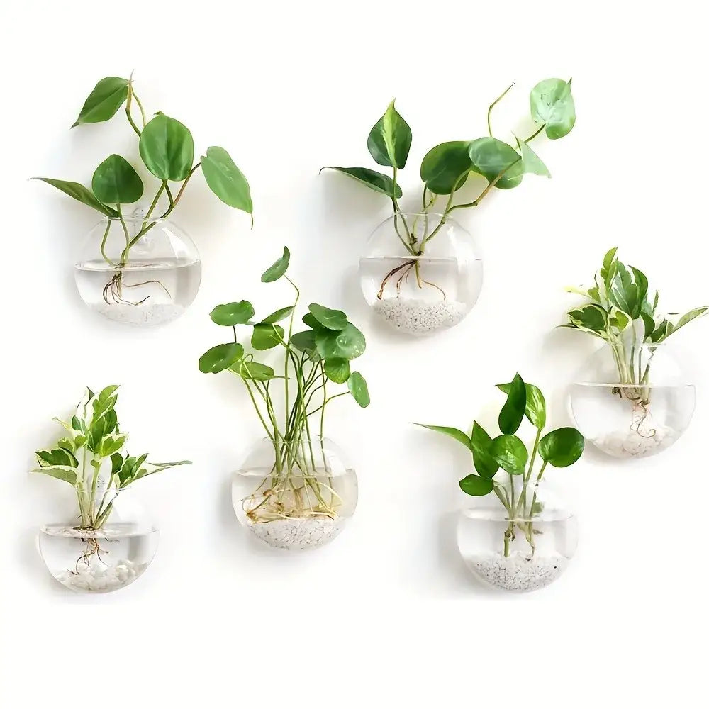 DecorBites™ self-watering glass terrarium set with clear spherical planters holding green plants and white pebbles