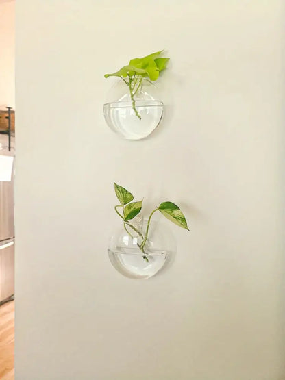 Decorbites™ self-watering glass terrarium set with clear wall-mounted planters holding vibrant green pothos vines