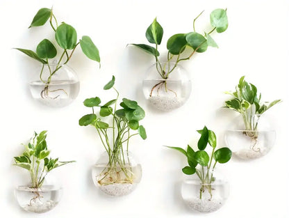 DecorBites™ self-watering glass terrarium set with clear spherical planters holding green plants and white gravel