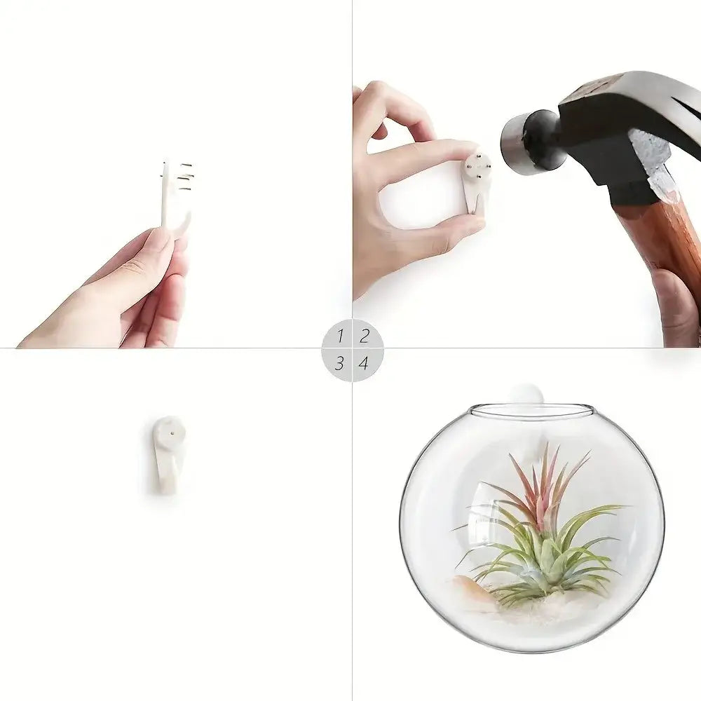White plastic wall hook with circular base and curved loop for hanging in decorbites self-watering glass terrarium set