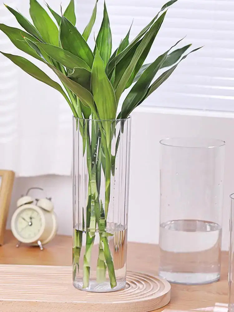 DecorBites™ shatterproof clear acrylic flower vase holding vibrant green lucky bamboo stalks in a clear cylindrical design