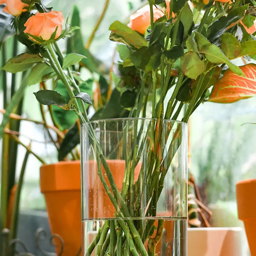 A decorbites™ shatterproof tall transparent acrylic flower vase holding orange roses with green stems and leaves