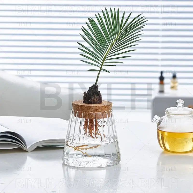 DecorBites™ small transparent glass vase with cork lid holding green palm frond in water for home decor