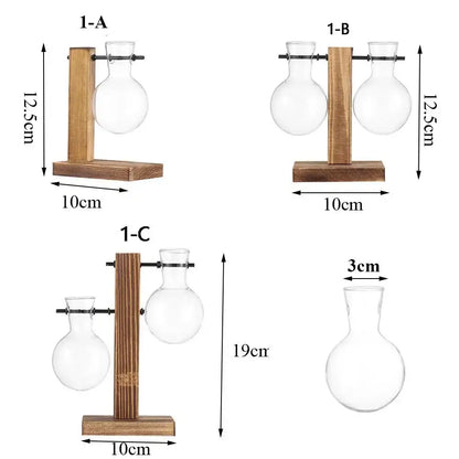 Decorbites transparent glass flasks on rustic wooden stands as an avocado seed starter vase for seed germination