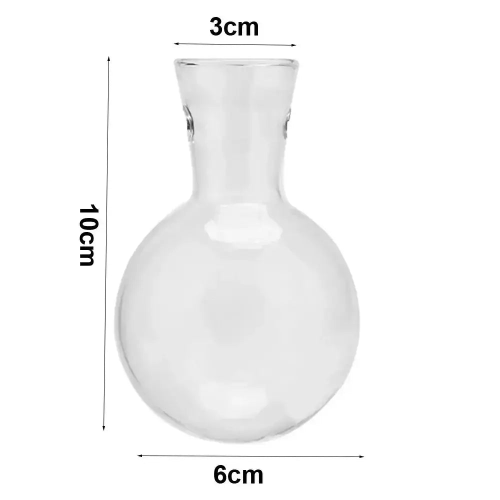 DecorBites transparent glass avocado seed starter vase with rounded base slender neck and two small handles for seed growth