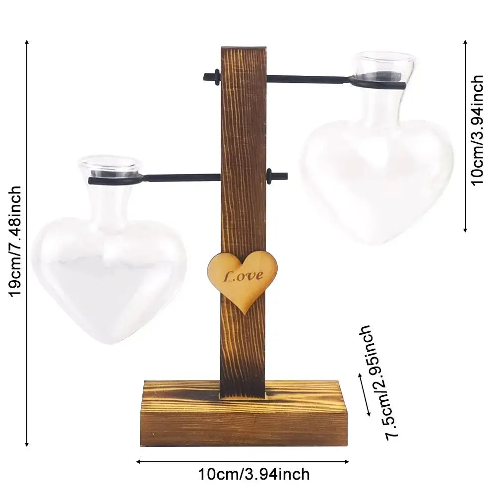 Decorbites™ transparent heart-shaped glass vase with love charm on rustic wood stand for avocado seed starter use