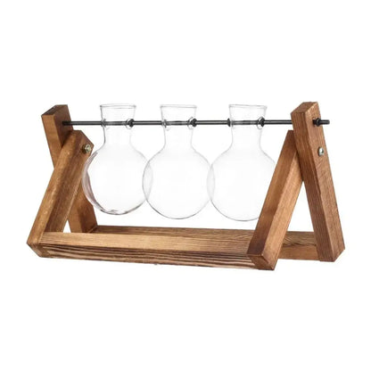 Wooden stand holding three clear glass vases for decorbites transparent avocado seed starter seed starter use