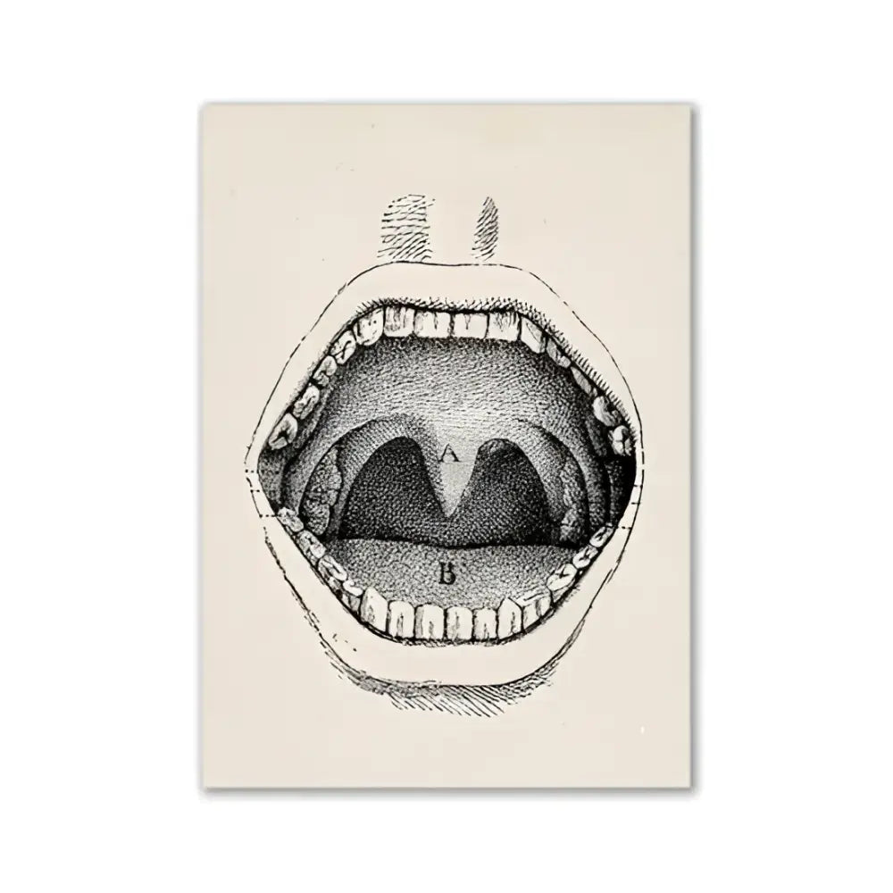 Decorbites™ vintage anatomy canvas print featuring a labeled open human mouth illustration for medical wall art