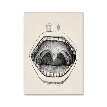 Decorbites™ vintage anatomy canvas print featuring a labeled open human mouth illustration for medical wall art